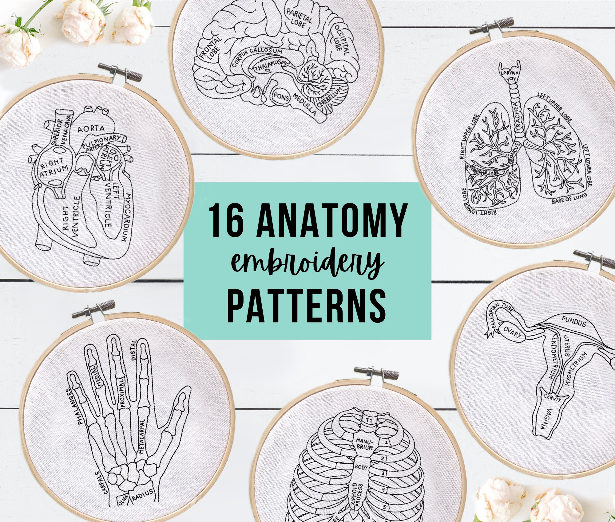 16 Anatomy Embroidery Patterns Embroidery Pattern Bundle Etsy