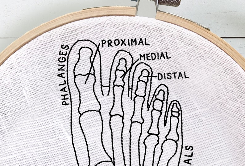 May include: A close-up of a white fabric with a black embroidered image of a foot skeleton. The bones are labeled "Phalanges", "Proximal", "Medial", and "Distal".
