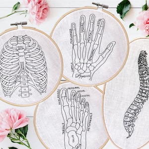 23 Anatomy Embroidery Patterns, Embroidery Pattern Bundle, Medical Patterns, Medical Embroidery, Anatomy Patterns, Whole Shop Bundle Digital image 6