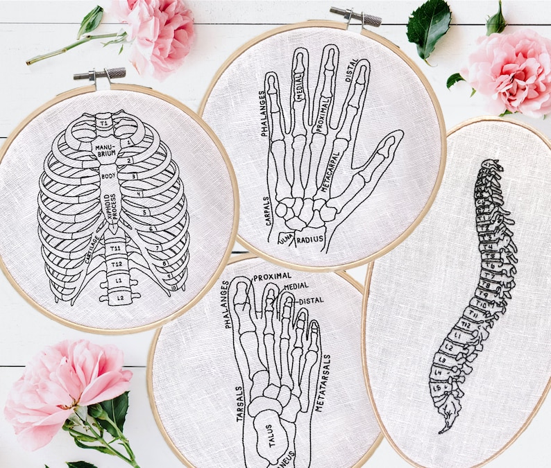 23 Anatomy Embroidery Patterns, Embroidery Pattern Bundle, Medical Patterns, Medical Embroidery, Anatomy Patterns, Whole Shop Bundle Digital image 6