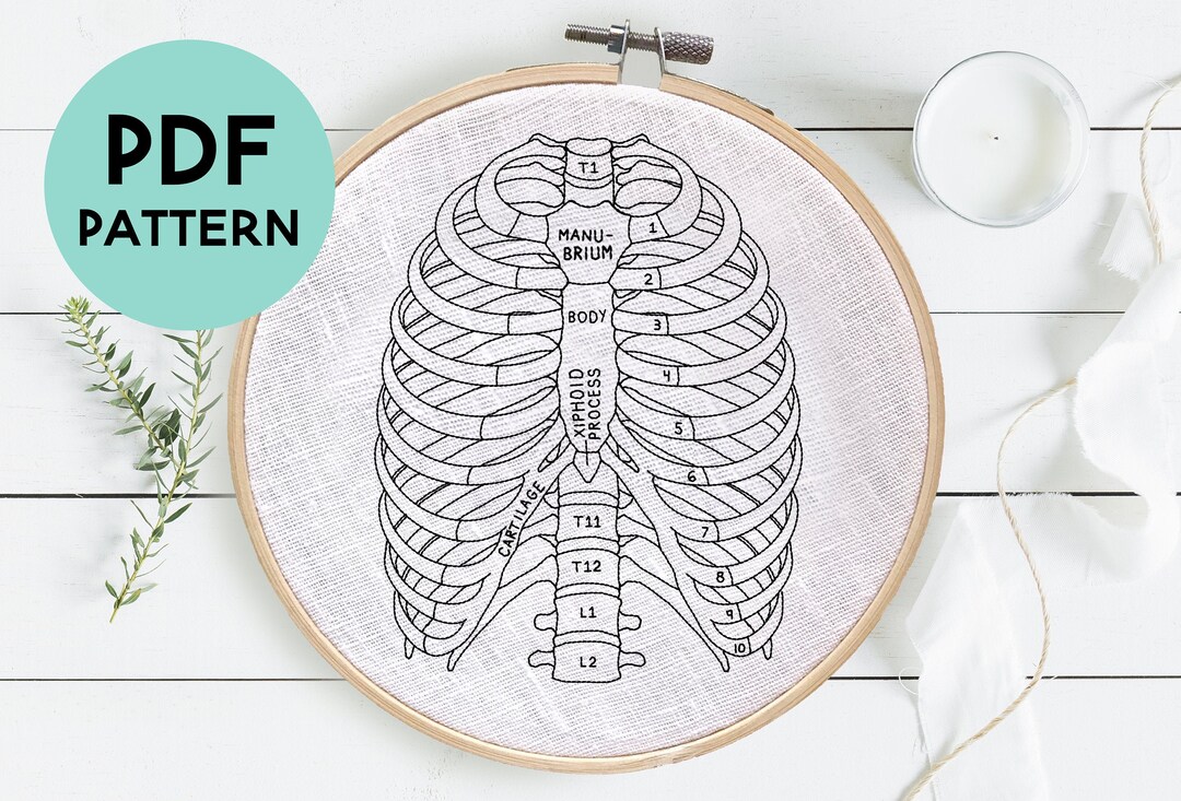 Ribs DIY Embroidery Pattern, Ribs Anatomy Pattern, Medical Embroidery ...