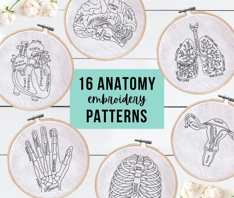 Pode incluir: 16 padr&otilde;es de bordado com ilustra&ccedil;&otilde;es anat&ocirc;micas do corpo humano, incluindo o cora&ccedil;&atilde;o, os pulm&otilde;es, o c&eacute;rebro, o esqueleto da m&atilde;o, a caixa tor&aacute;cica e o sistema reprodutor feminino. Os padr&otilde;es s&atilde;o exibidos em aros de bordado sobre um fundo de madeira branco.