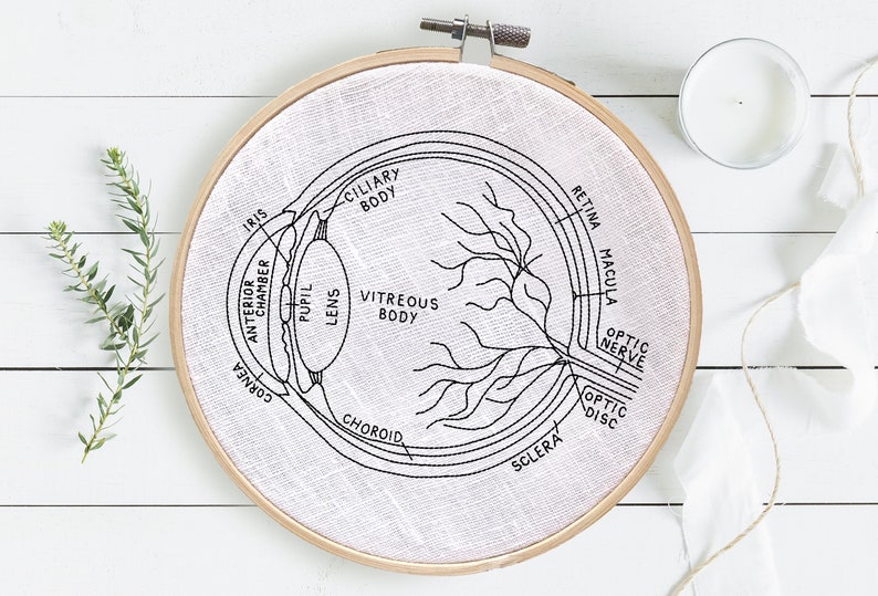 DIY Eye Anatomy Embroidery Pattern, Eyeball Pattern, Optometrist Embroidery Gift, Ophthalmologist Gift, Eye Anatomy Art, Digital Download image 4