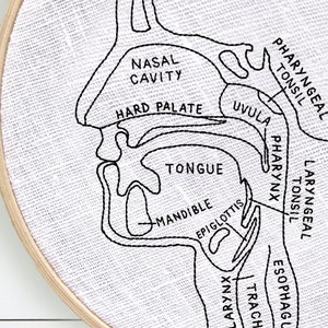 Puede incluir: Un dibujo en blanco y negro de la garganta humana, que muestra la cavidad nasal, el paladar duro, la &uacute;vula, la lengua, la mand&iacute;bula, la epiglotis, la faringe, las am&iacute;gdalas, la laringe, la tr&aacute;quea y el es&oacute;fago.