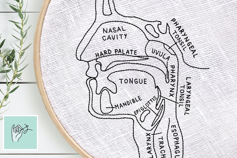 Puede incluir: Un dibujo en blanco y negro de la garganta humana, que muestra la cavidad nasal, el paladar duro, la &uacute;vula, la lengua, la mand&iacute;bula, la epiglotis, la faringe, las am&iacute;gdalas, la laringe, la tr&aacute;quea y el es&oacute;fago.