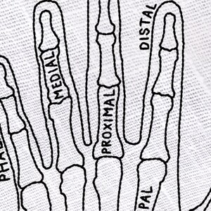 May include: A black and white line drawing of a hand with the bones of the fingers labeled. The labels include "Phalanges", "Proximal", "Medial", "Distal", and "Pal".