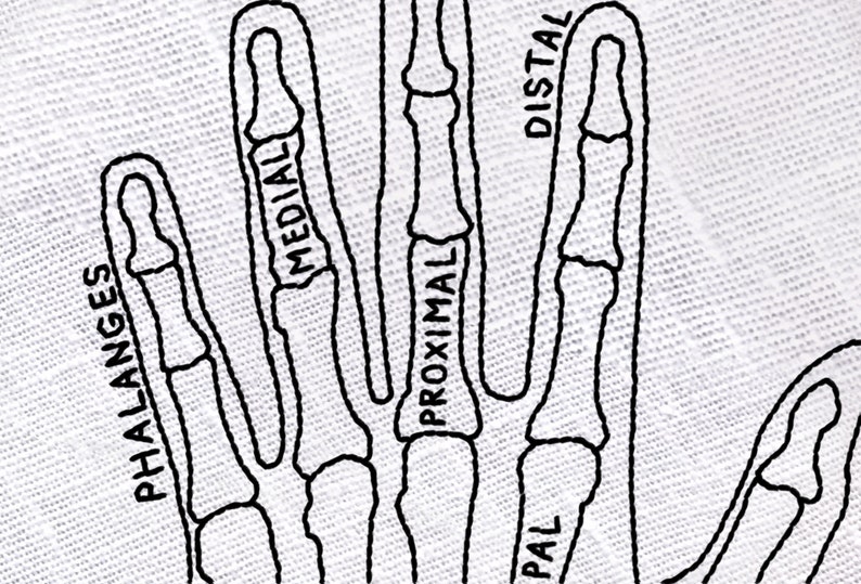 May include: A black and white line drawing of a hand with the bones of the fingers labeled. The labels include "Phalanges", "Proximal", "Medial", "Distal", and "Pal".