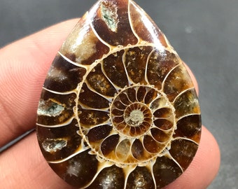 Ammonite Cabochon...Pear Cabochon...38x30x7 mm...62 Cts...A#M4533