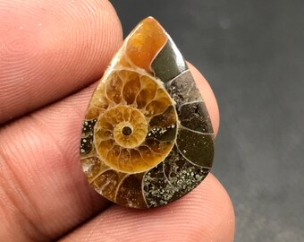 Ammonite Cabochon...Pear Cabochon...22x16x4 mm...10 Cts...A#M4549