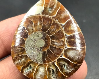 Ammonite Cabochon...Pear Cabochon...40x34x6 mm...63 Cts...A#M4532