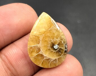 Ammonite Cabochon...Pear Cabochon...21x15x4 mm...10 Cts...A#M4545