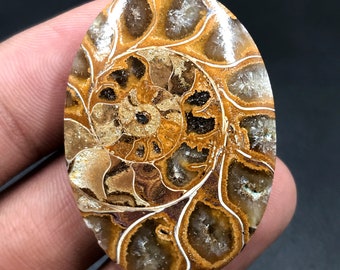 Ammonite Cabochon...Oval Cabochon...40x28x8 mm...73 Cts...A#M4525