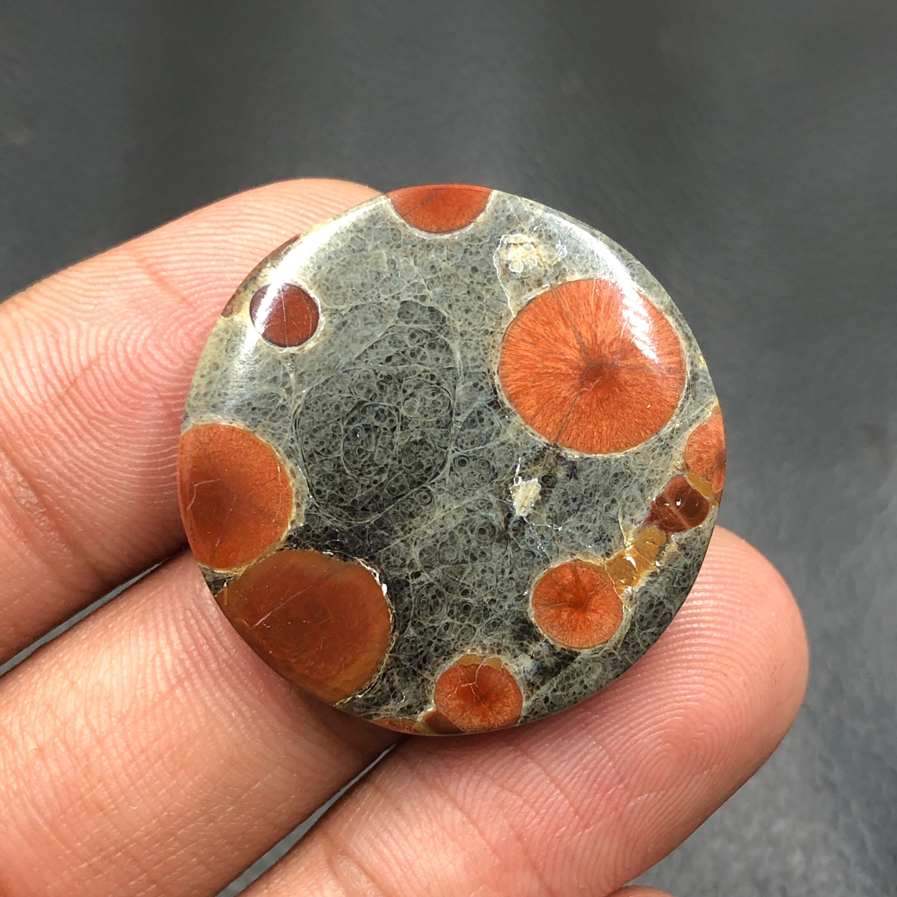 Peanut Obsidian Cabochon...Round Cabochon...28x5 mm...33 Cts...A#M7935