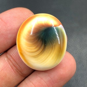 Pode incluir: Um close-up de uma gema polida de forma oval com padrões em espiral de amarelo, laranja, marrom e verde. A gema tem um acabamento liso e brilhante.