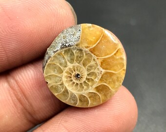 Ammonite Cabochon...Pear Cabochon...19x3 mm...10 Cts...A#M4552