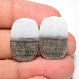 Owyhee Blue Opal Pair Cabochon... Blue Opal Cabochon Pair... Coussin Cabochon... 21x14x4mm... 23Cts... #H8684