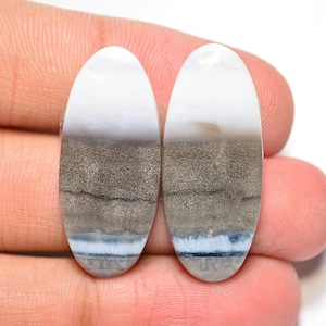 Owyhee Blue Opal Pair Cabochon... Blue Opal Cabochon Pair... Cabochon ovale... 30x13x4mm... 25Cts... #H8656