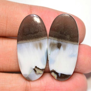 Owyhee Blue Opal Pair Cabochon... Blue Opal Cabochon Pair... Cabochon ovale... 30x14x4mm... 27Cts... #H8658