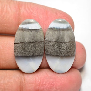 Owyhee Blue Opal Pair Cabochon... Blue Opal Cabochon Pair... Cabochon ovale... 25x14x4mm... 24Cts... #H8673