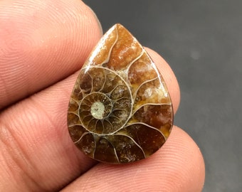 Ammonite Cabochon...Pear Cabochon...21x16x3 mm...8 Cts...A#M4546