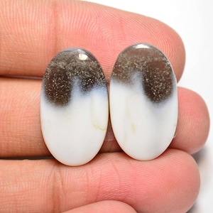 Owyhee Blue Opal Pair Cabochon... Blue Opal Cabochon Pair... Cabochon ovale... 23x13x4mm... 20Cts... #H8670