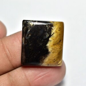 May include: A square gemstone with a polished surface. The stone is divided into two sections: one is a deep black, and the other is a golden-yellow with fibrous patterns. Small flecks of gold are visible.