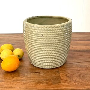 May include: A light green ceramic planter with a rope-like texture. The planter is sitting on a wooden table with four lemons in front of it.