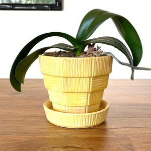 Vintage McCoy Pottery Small 4&quot; Basketweave Planter with Attached Saucer in Yellow
