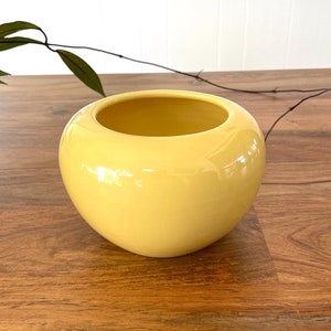 May include: A yellow ceramic planter with a round, slightly flattened shape. The planter is sitting on a wooden surface.