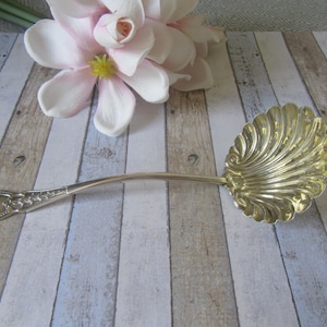 Può includere: Cucchiaio da portata argentato con manico decorativo e conchiglia. Il manico presenta un design ovale con dettagli floreali. Il cucchiaio è appoggiato su una superficie di legno chiaro, con un fiore rosa e bianco sullo sfondo.