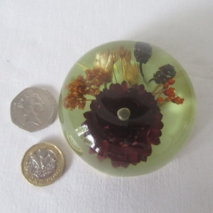 Vintage Lucite Real Dried Flowers Briefbeschwerer mit Harzbasis.7-seitig mit abgerundeter Kuppel für Sammler Briefbeschwerer ..Büro, Wohnkultur