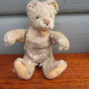 Antique steiff bear - Etsy 日本