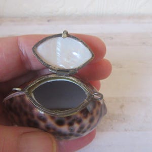 Antique c1880s Tiger cowrie shell & m.o.p. snuff pill box, coin purse. Rings to attach chatelaine chain to wear around the neck.