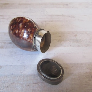 May include: A brown seashell with a silver lid, the lid is open and the inside of the shell is visible. The shell is sitting on a light wood surface.