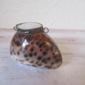 May include: A small, oval-shaped seashell box with a brown and white mottled pattern. The box has a silver hinged lid and a silver loop on each side.