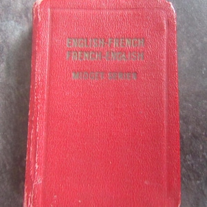Midget Dictionaries - Etsy