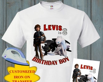 how to train your dragon birthday shirt