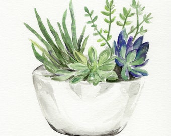 Florece donde se planta suculento impresión de acuarela