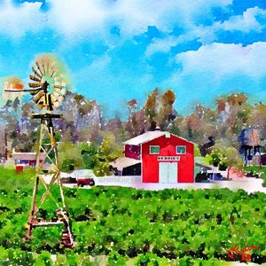 The Berry Farm