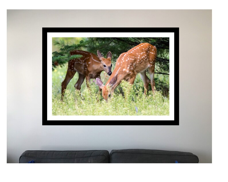 Deer Nursery Decor Baby Deer Print Fawn Wall Art Woodland | Etsy