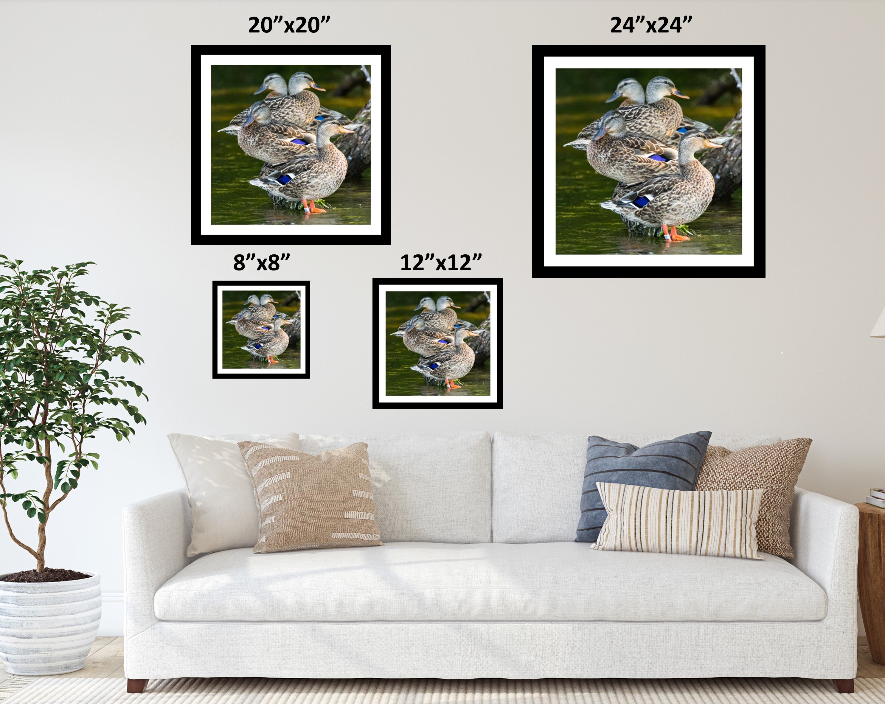 Mallard Ducks Wall Art Print Duck Art Duck Wall Art Duck Etsy