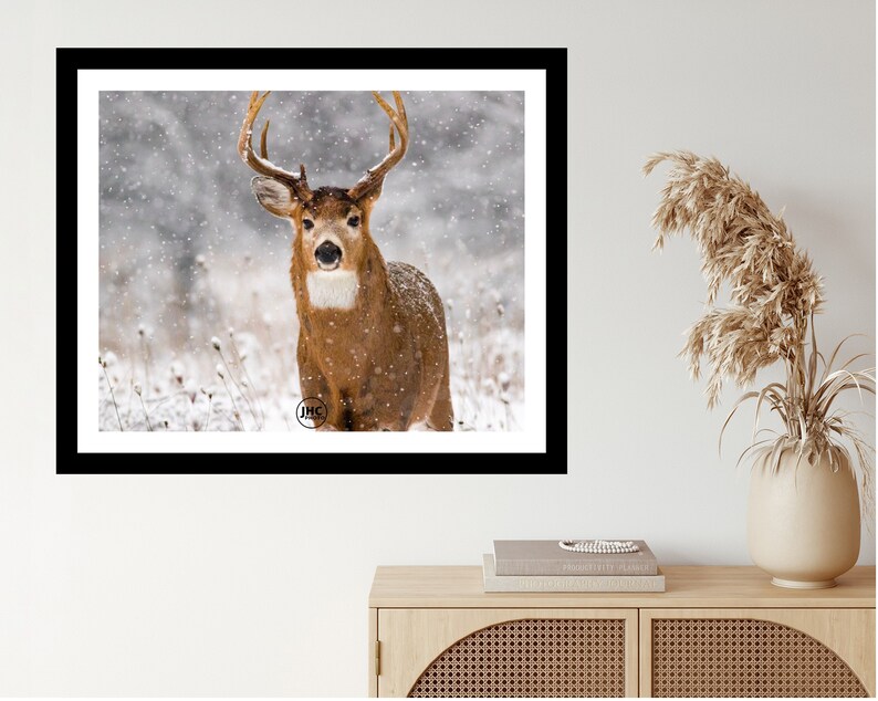 Deer Wall Art Print Deer Wall Decor Deer Lover Buck Deer Etsy
