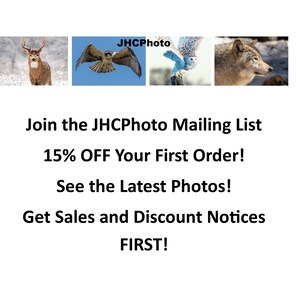 May include: A white background with a text overlay that reads "Join the JHCPhoto Mailing List 15% OFF Your First Order! See the Latest Photos! Get Sales and Discount Notices FIRST!"  The text is in black and the background is white. There are three images of animals in the background. The images are of a deer, an owl, and a wolf.