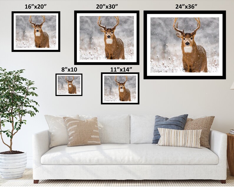 Deer Wall Art Print Deer Wall Decor Deer Lover Buck Deer Etsy