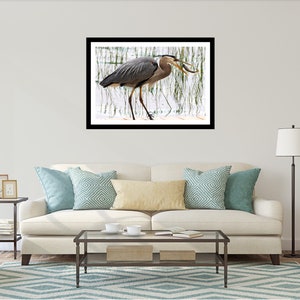 K&ouml;nnte beinhalten: Gerahmter Druck eines Graureihers in einer Feuchtgebietsumgebung. Der Vogel mit grau-blauem Gefieder h&auml;lt einen Fisch in seinem Schnabel. Das Kunstwerk wird &uuml;ber einem wei&szlig;en Sofa mit dekorativen Kissen ausgestellt.