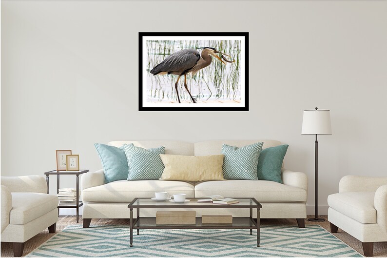 K&ouml;nnte beinhalten: Gerahmter Druck eines Graureihers in einer Feuchtgebietsumgebung. Der Vogel mit grau-blauem Gefieder h&auml;lt einen Fisch in seinem Schnabel. Das Kunstwerk wird &uuml;ber einem wei&szlig;en Sofa mit dekorativen Kissen ausgestellt.