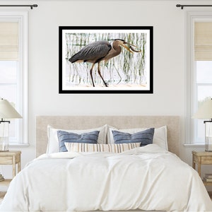 K&ouml;nnte beinhalten: Gerahmter Druck eines Graureihers in einer Feuchtgebietsumgebung. Der Vogel mit grau-blauem Gefieder wird im Schritt erfasst und h&auml;lt einen Fisch im Schnabel. Das Kunstwerk wird &uuml;ber einem Bett in einem Schlafzimmer gezeigt.