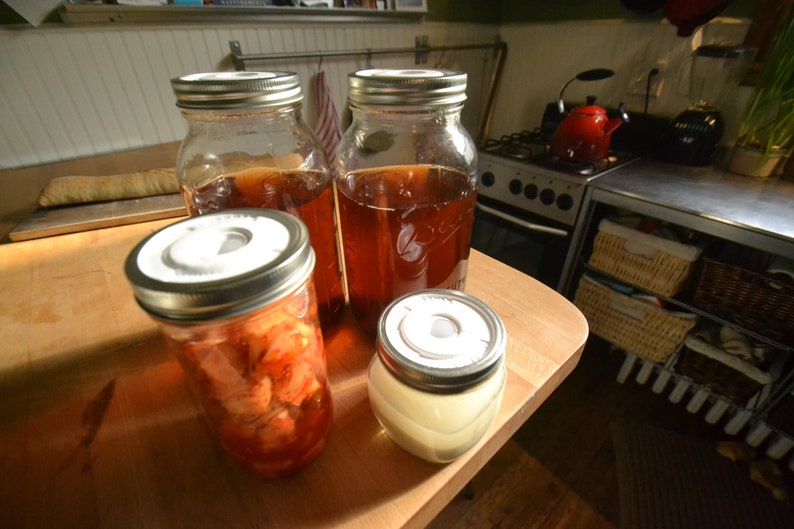 HOPTOP Mason Jar Fermentation Airlock 6pack Etsy