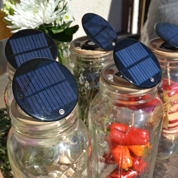DRYCERATOP Solar Food Dehydrierer für Mason Jars - NUR VORBESTELLUNG. Zeitweise nicht vorrätig - 1-2 Wochen verlängerte Lieferung