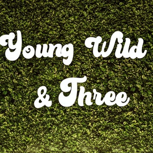 Custom Backdrop Letters - Young Wild and Three - Retro Name Die Cut - Word Display - Birthday - Wedding - Engagement - Baby Shower